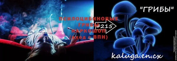 прущие грибы Аркадак