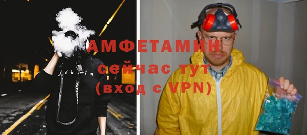 прущие грибы Аркадак