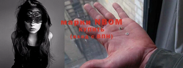 прущие грибы Аркадак
