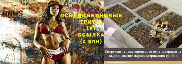 экстази Армянск