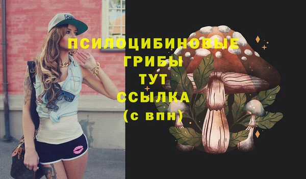 дурь Арсеньев
