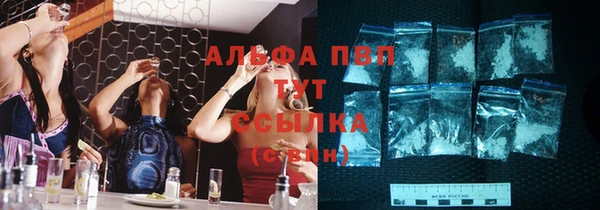 прущие грибы Аркадак