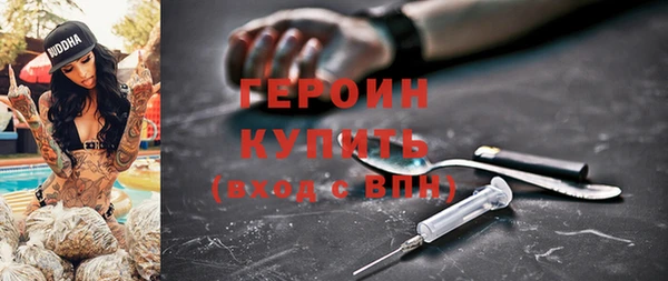 прущие грибы Аркадак
