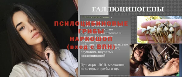 дурь Арсеньев