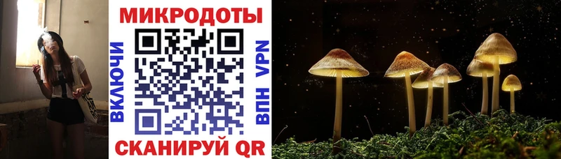 Псилоцибиновые грибы мухоморы Горняк