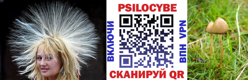 Галлюциногенные грибы GOLDEN TEACHER  Горняк 